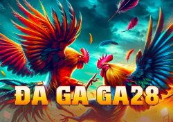 đá gà
